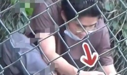 刘昊然狗仔爆料了吗视频,娱乐圈幕后真相曝光