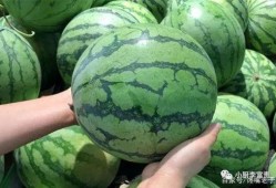 金华最新吃瓜事件爆料是真的吗,真相揭秘还是无端炒作？