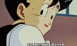 日常在线观看,在线观看的日常盛宴