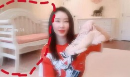 舒畅爆料最新视频网站,揭秘视频网站幕后真相