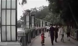 古镇灯都最新爆料,揭秘古镇灯都最新动态与亮点