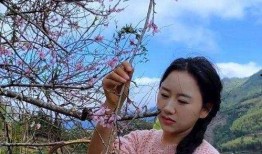 视频爆料乡愁沈丹,揭秘家乡变迁的深情告白