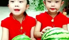 吃瓜小妈全集免费阅读,揭秘娱乐圈背后的秘密与真相