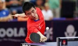 马特爆料乒乓球视频,乒乓球高手背后的训练秘籍