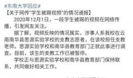 东南大学爆料事件最新,揭秘校园内幕引发社会关注