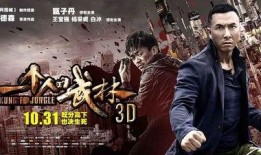 一个人的武林在线观看,一场视觉与智慧的盛宴