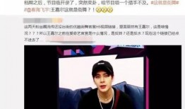 关于王嘉尔的爆料视频,娱乐圈背后的真实故事