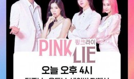 粉红谎言爆料视频,视频揭露真相背后的秘密