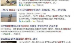 爆料秦皇岛视频播放网站,独家爆料带你畅游网络视听盛宴