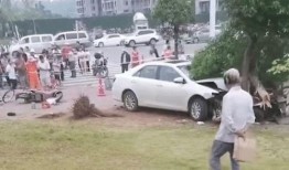 人行道爆料视频,街头奇闻异事大曝光