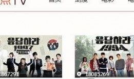 请在线观看,在线观看的无限魅力