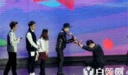 粉丝下跪爆料视频大全集,揭秘娱乐圈幕后真相