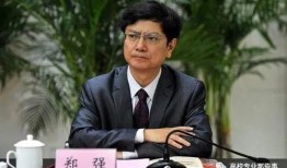 郑强最新爆料新闻报道,揭秘事件背后惊人真相