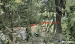 被网红扒吃瓜视频大全,揭秘娱乐圈幕后故事