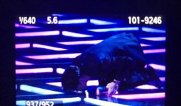 粉丝下跪爆料视频大全集,揭秘娱乐圈幕后真相