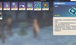 原神最新爆料任务,揭秘原神最新爆料任务背后的神秘故事