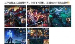 陈羽凡爆料王者荣耀视频,王者荣耀背后的惊人真相