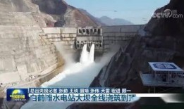 大坝新闻爆料,揭秘我国某大型水利枢纽工程最新进展