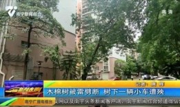 南宁央视新闻爆料入口,聚焦民生热点，倾听市民心声”