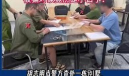 最新爆料刘杉杉视频播放,揭秘背后惊人真相！