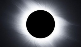 黑色太阳在线观看,揭秘暗网世界的惊悚之旅