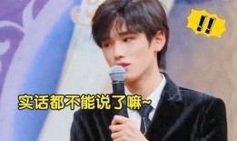 宋亚轩爆料王牌家族视频,视频爆料引网友热议