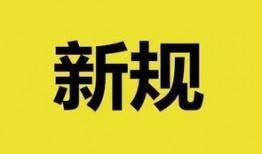 青岛新闻今日爆料,独家爆料揭示重大事件内幕