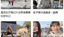 济南都市爆料事件视频全集,事件视频全集深度解析